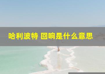 哈利波特 回响是什么意思